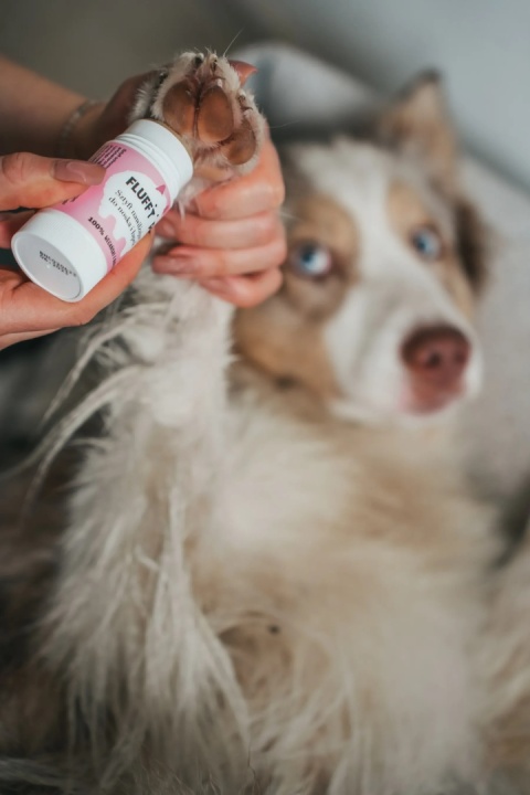 Fluffy Pet - Sztyft nawilżający do łapek i noska 23 ml Fluffy Pet - Sztyft nawilżający do łapek i noska 23 ml