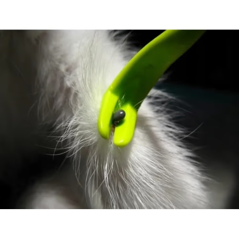 Tick Twister Clip Box Trio - kleszczołapki, zestaw 3szt - zielone Tick Twister Clip Box Trio - kleszczołapki, zestaw 3szt - zielone