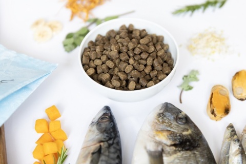 YDOLO - Wild Fish - ryby morskie - karma półwilgotna 100g YDOLO - Wild Fish - ryby morskie - karma półwilgotna 100g