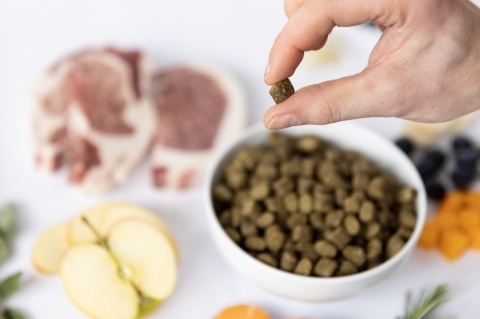 YDOLO - wieprzowina Iberico - karma półwilgotna 100g YDOLO - wieprzowina Iberico - karma półwilgotna 100g