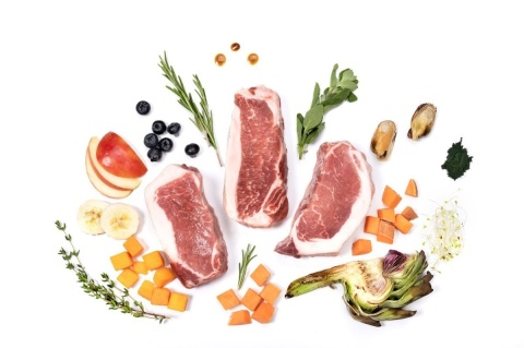 YDOLO - wieprzowina Iberico - karma półwilgotna 100g YDOLO - wieprzowina Iberico - karma półwilgotna 100g