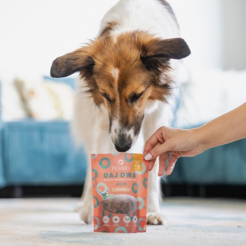PERRO - DAJ DWA Jeleń Trenerki 85g PERRO - DAJ DWA Jeleń Trenerki 85g
