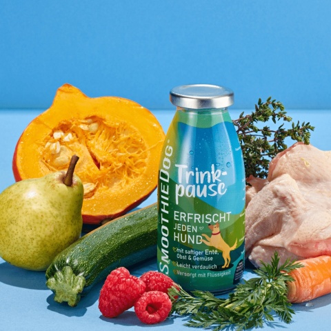 SmoothieDog - KACZKA SmoothieDog - KACZKA