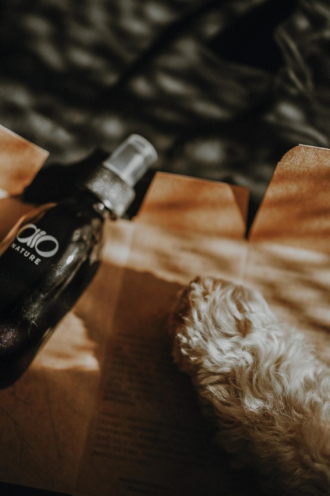 AIO Nature - Naturalna odżywka podkreślająca kolor do rudych i brązowych odcieni sierści dla psa AIO Nature - Naturalna odżywka podkreślająca kolor do rudych i brązowych odcieni sierści dla psa