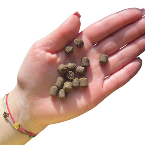 FARMA - Karma tłoczona na zimno Królik 2kg