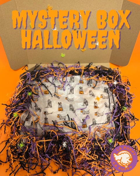 Mystery Box - HALLOWEEN