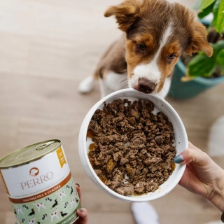 Perro Gourmet JUNIOR - Jagnięcina z cukinią dla szczeniąt 800g