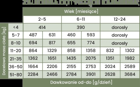 Perro Gourmet JUNIOR - Jagnięcina z cukinią dla szczeniąt - ZESTAW 6 x 400g