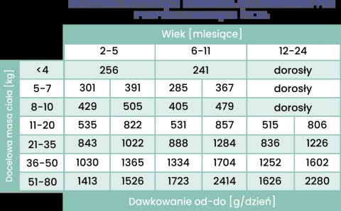 Perro Gourmet JUNIOR - Konina z dynią dla szczeniąt 800g Perro Gourmet JUNIOR - Konina z dynią dla szczeniąt 800g