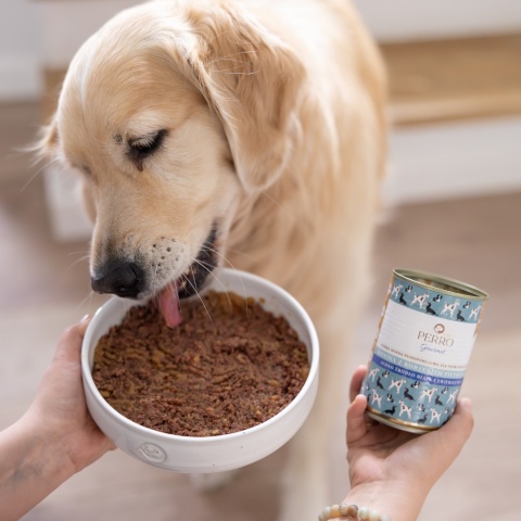 Perro Gourmet - Konina z korzeniem pietruszki 800g