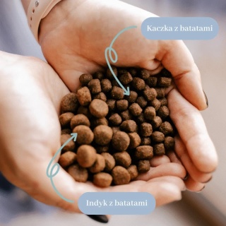 Perro - Karma sucha Indyk z batatami – dla psów dorosłych średnich i dużych ras 3kg