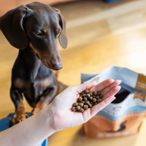 Perro - Karma sucha Wołowina z batatami – dla psów dorosłych małych ras 1kg Perro - Karma sucha Wołowina z batatami – dla psów dorosłych małych ras 1kg