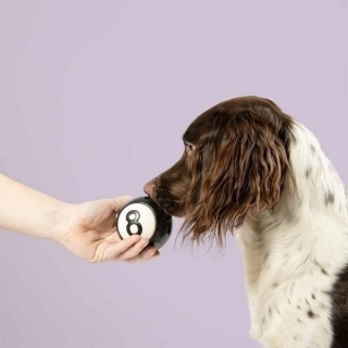 COOCKOO Snackball Eight - Piłka z otworem na smaczki