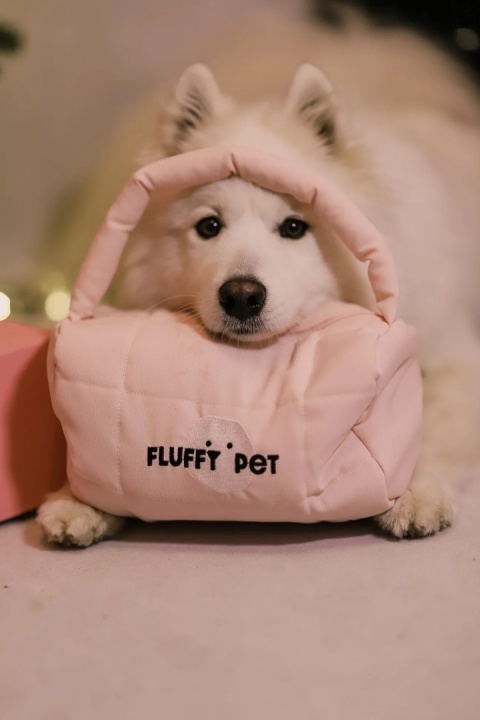 Fluffy Pet - Limitowana kosmetyczka z rączką - niebieska