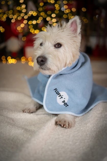 Fluffy Pet - Limitowana miękki ręcznik z wiskozy bambusowej - niebieski