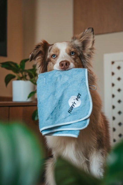 Fluffy Pet - Limitowany miękki ręcznik z wiskozy bambusowej - niebieski