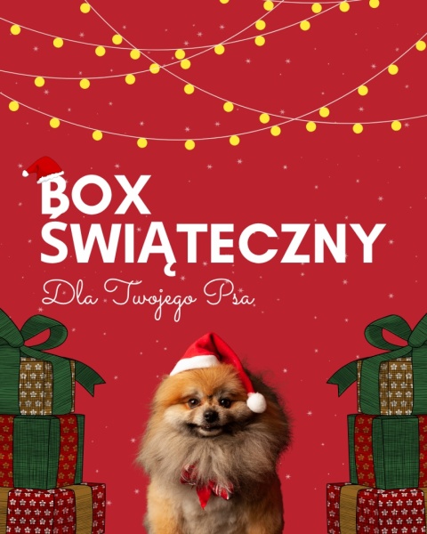 Mystery Box - Świąteczny