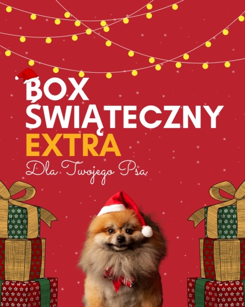 Mystery Box - Świąteczny EXTRA