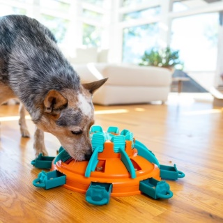 Nina Ottosson Tower of Treats Level 4 - gra dla psa, zabawka edukacyjna, poziom 4