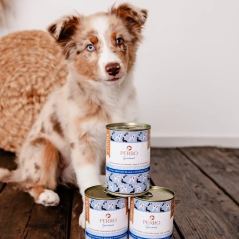 Perro Gourmet JUNIOR - Jeleń z gruszką dla szczeniąt 800g x 6szt ZESTAW