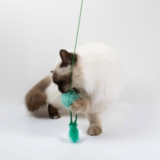 COOCKOO - Wędka Jumping Jumpy 40cm