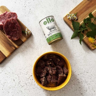 Ollo - BOOSTER Zielone Żwacze 400g