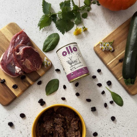 Ollo Umami - Jagnięcina i Wołowina 400g