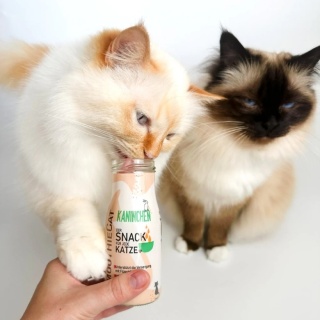 SMOOTHIE CAT Kaninchen - Smoothie dla kota Królik