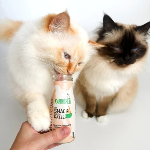 SMOOTHIE CAT duck - Smoothie dla kota Kaczka